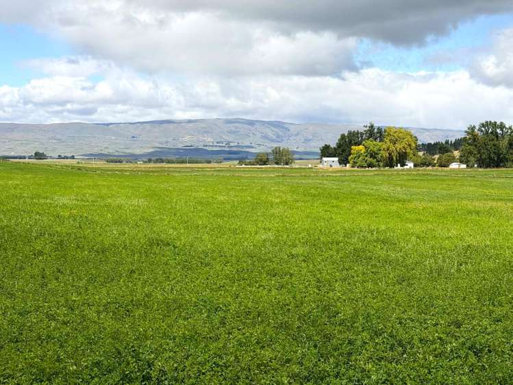 Bypass Road Ranfurly_3