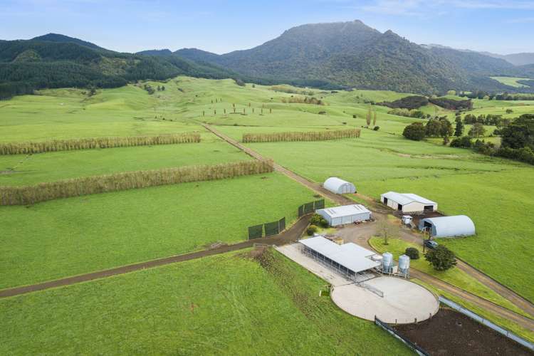 1369 Te Aroha-Gordon Road Manawaru_14