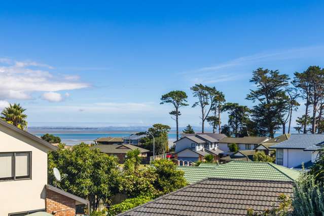 9 Samara Place Clendon Park_2