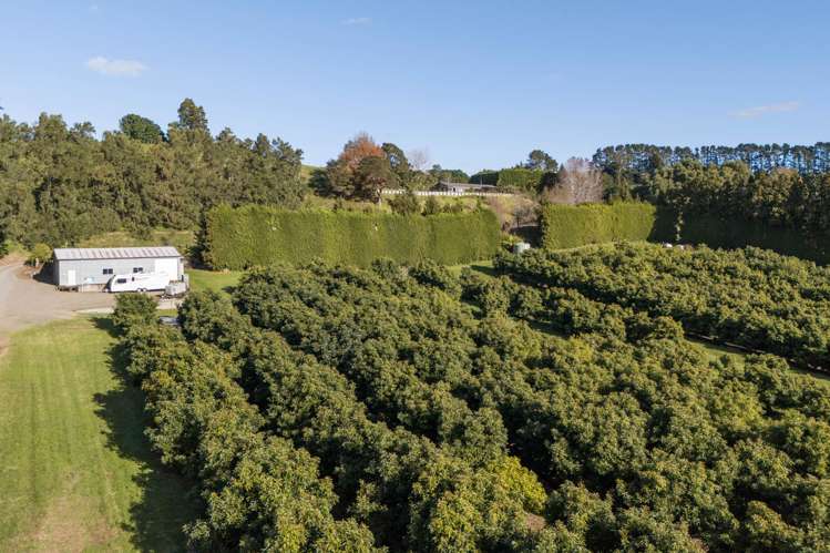 480C Youngson Road Whakamarama_30