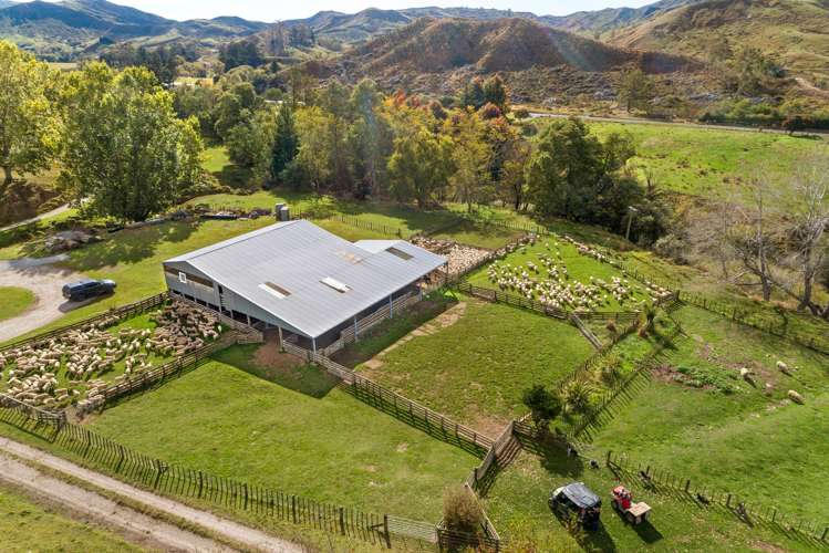 3643 Wharekopae Road Rere_23