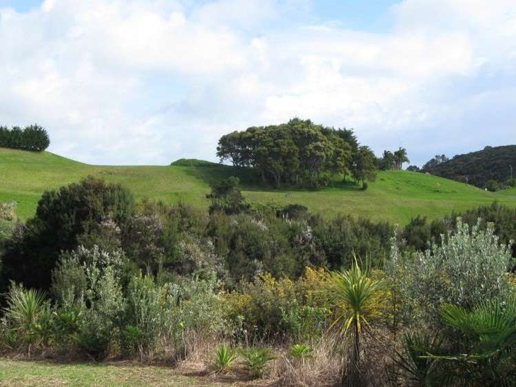 134 Stratford Drive Cable Bay_8