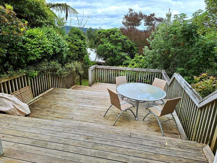 21A Mortimer Terrace Aro Valley_12