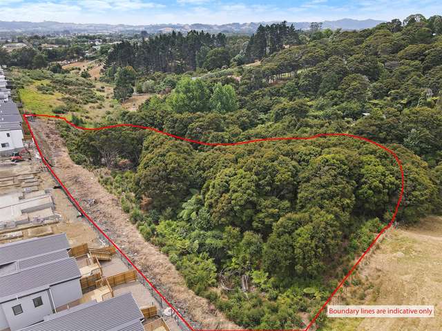 255 Kaipara Road Papakura_4