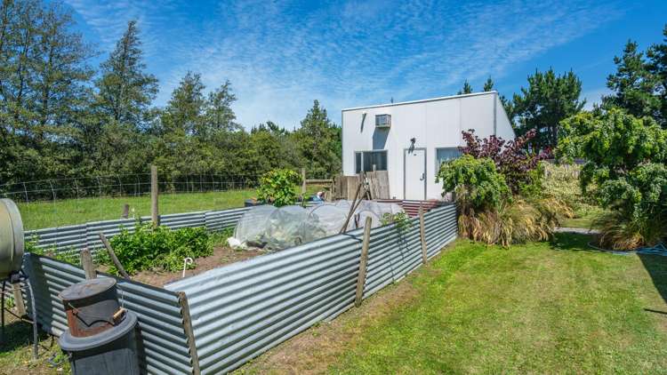 300 Courtenay Road Charing Cross_8