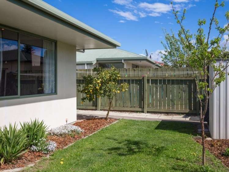 182a High Street Blenheim Central_17