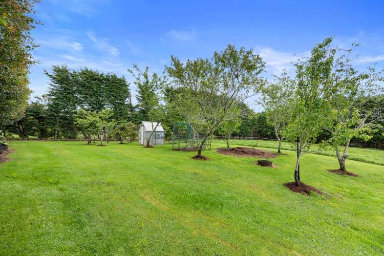 690 Esdaile Road Whakamarama_16