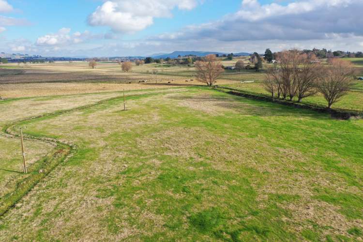 1 Elm Place, RD4 Waipukurau_40