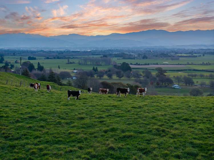 Lot 4 546 Masterton Castlepoint Road Masterton_6