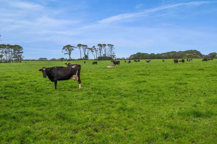 308A Arawhata Road Opunake_24