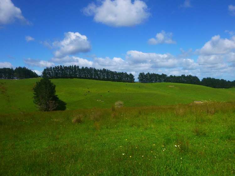 372 Cable Bay Block Road Cable Bay_8