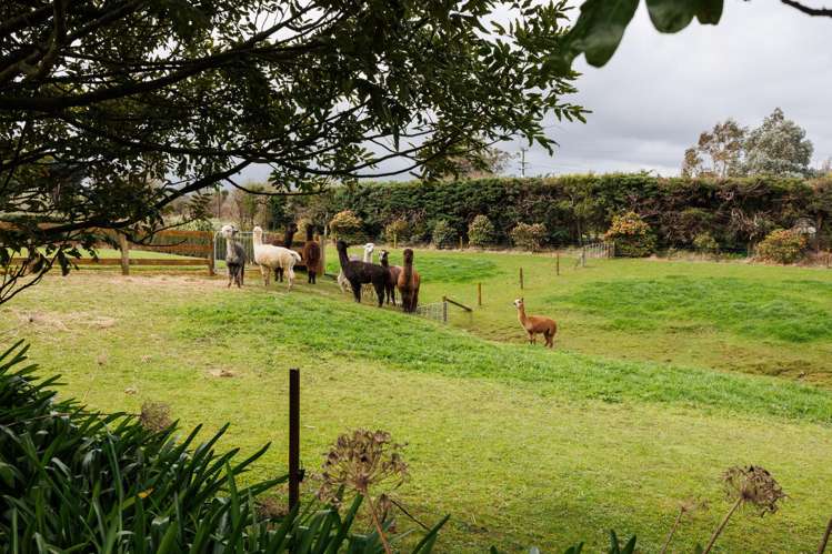 7 Harrisons Line Palmerston North_35