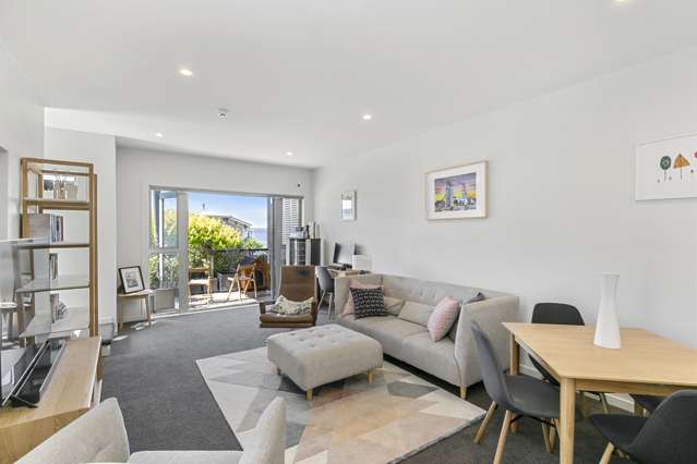 3d Park Street Thorndon_4