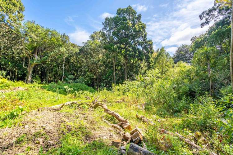 480 Ponga Road Opaheke_6