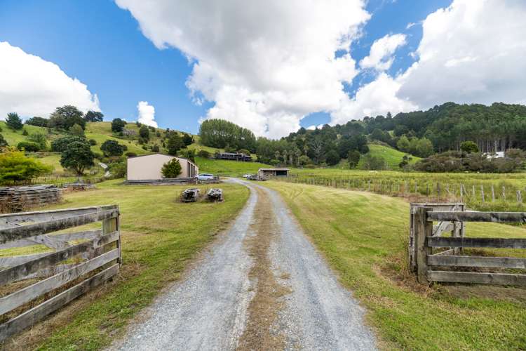 401 Wright Road Matakana_0