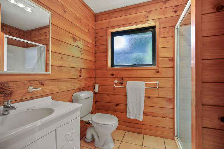 62 Dalton Avenue Te Awamutu_21