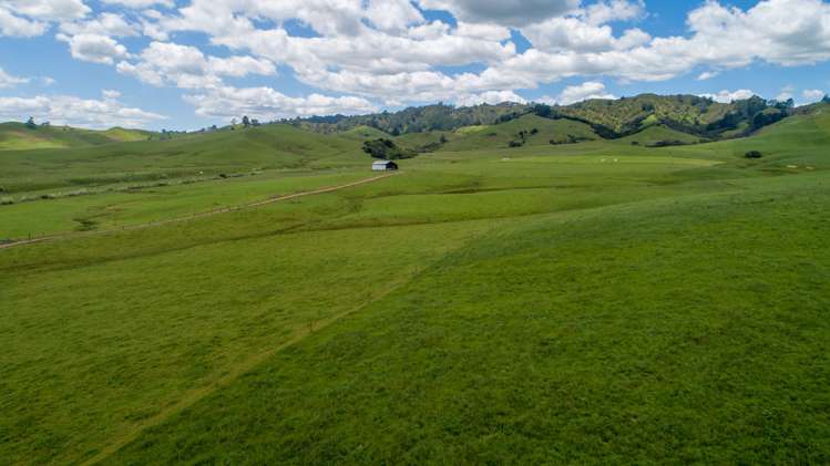 360 Manuel Road Tauhei_15