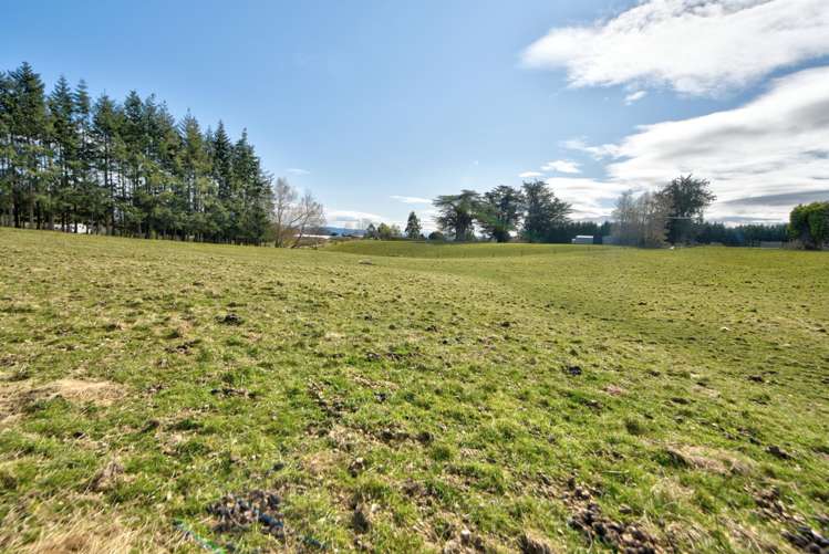 Braudigam Road East Tapanui_20