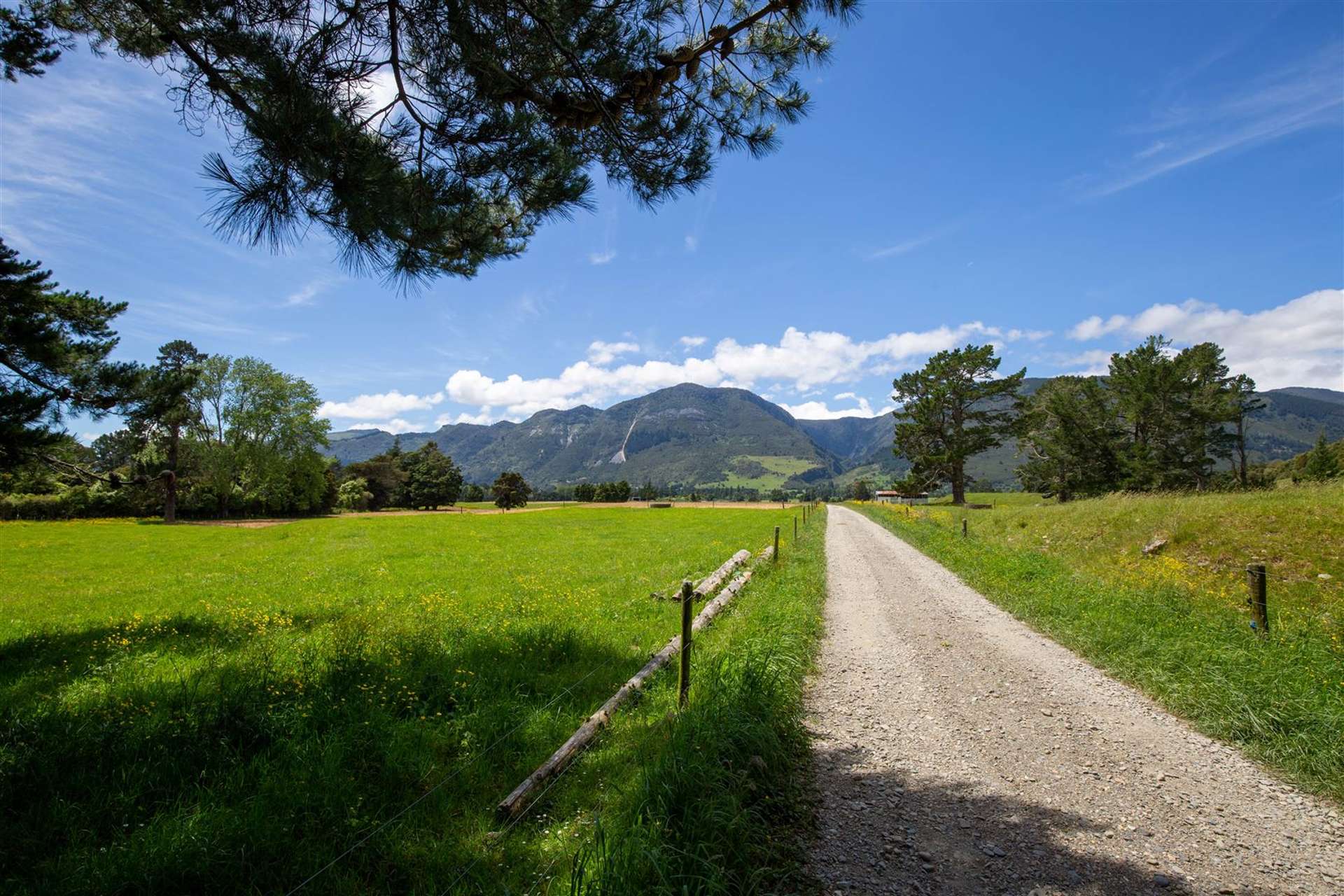 1177 Takaka Valley Highway Kahurangi National Park_0