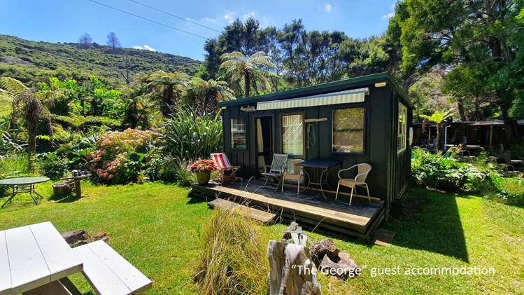 Lot 279 Smelting House Bay Kawau Island_11