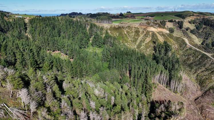 Rangitatau West Road Waitotara_10