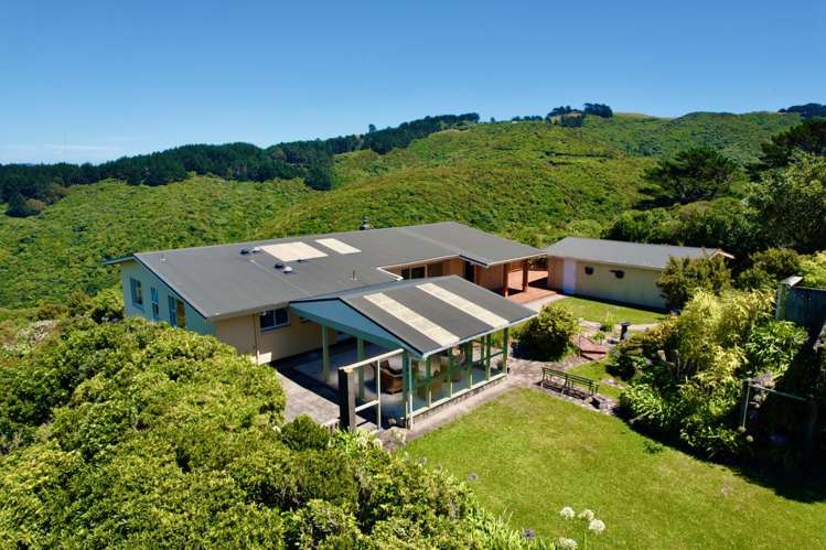 4 Pine Tree Lane Korokoro_2