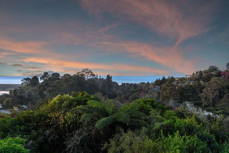 5 Camelia Lane Whakatane_18