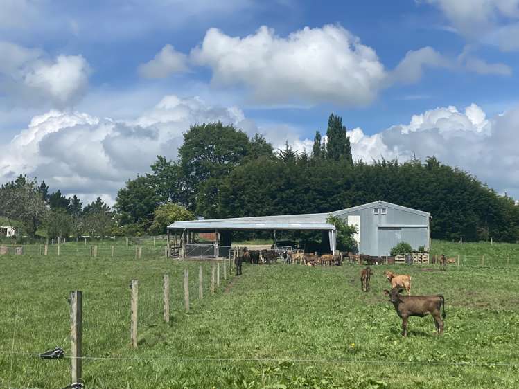 322 Wendon Creek Road Gore Surrounds_10