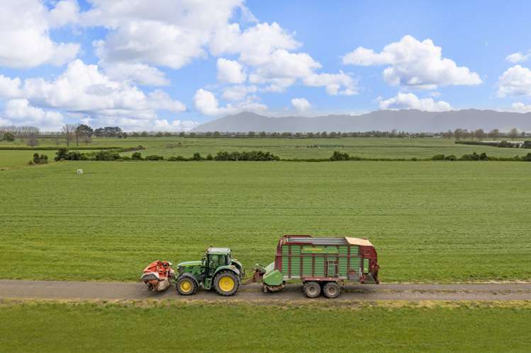 Waghorn Road Manawaru_6