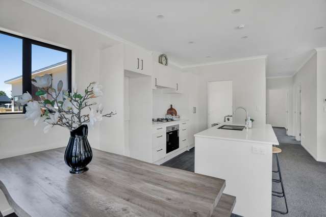 11 Horoeka Street Inglewood_4