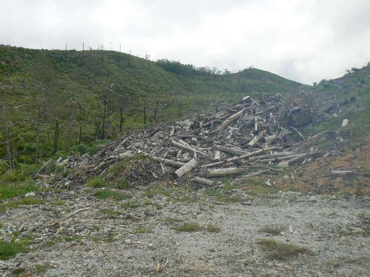 Lot 65 Stoney Creek Road Mangamuka_15