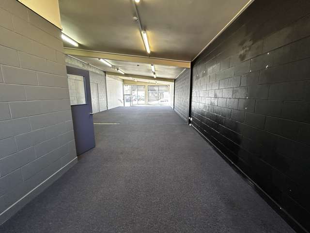 195 Hanover Street Dunedin Central_1