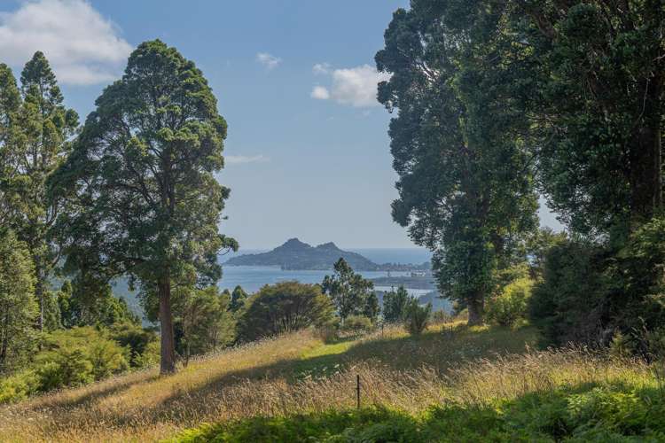 184 Hikuai Settlement Road Hikuai_1