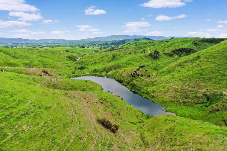 Thompsons Road Pahiatua_11