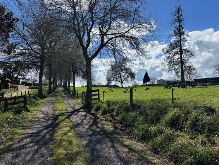 1270 Paterangi Road Ohaupo_22