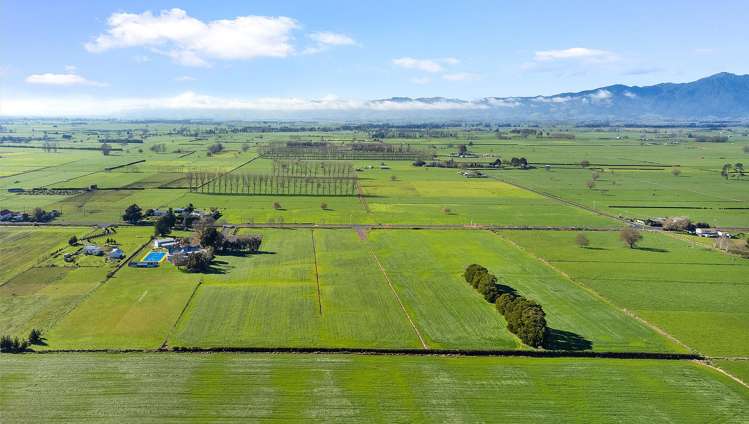 No 1 Road Morrinsville_6