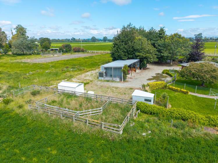 206 Winchester Geraldine Road Geraldine Flat_18