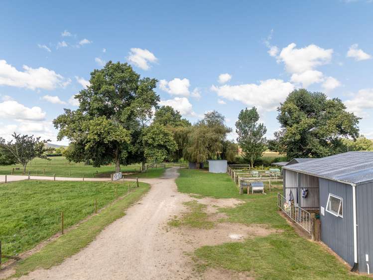 182 Maungatautari Road Cambridge_4