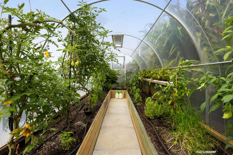 39 Khouri Avenue Karori_15