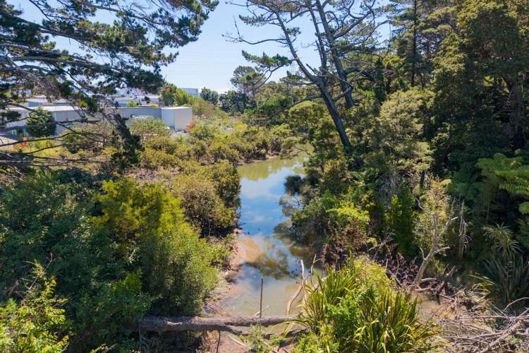 16 Stedman Place Avondale_21