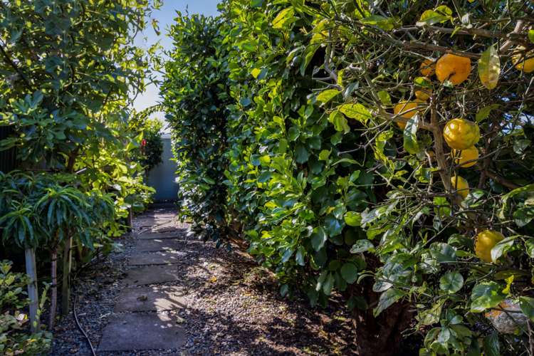 19 Mccarthy Street Hawera_29