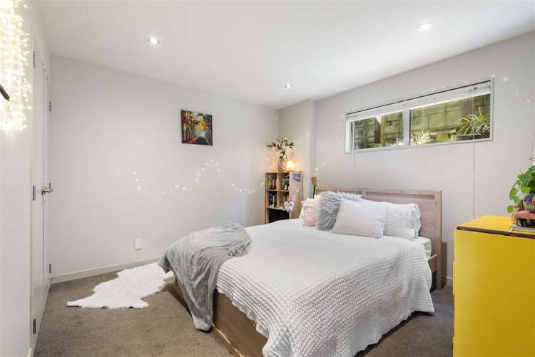 51b Belfast Street Hillsborough_15