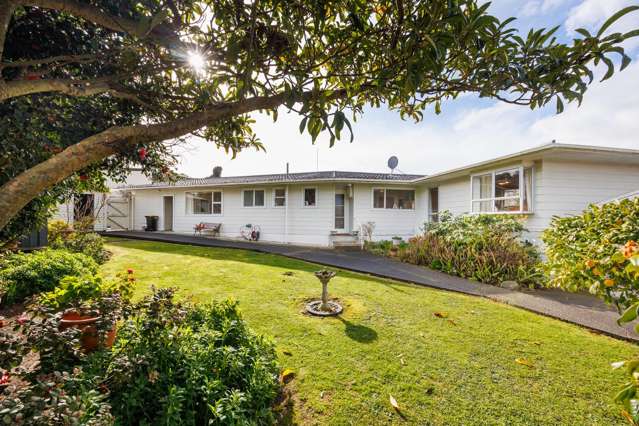 3 Dalzien Place Feilding_1
