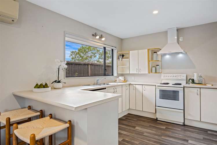 7b Earl Street Hillsborough_5