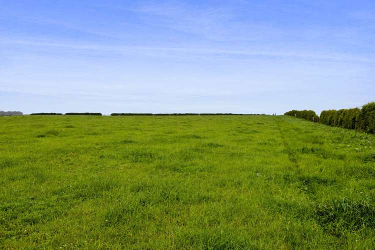 256 Lower Stuart Road Eltham_7