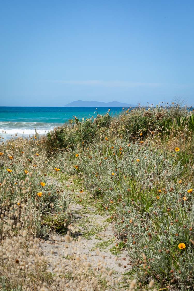 4 Ayr Street Waihi Beach_15