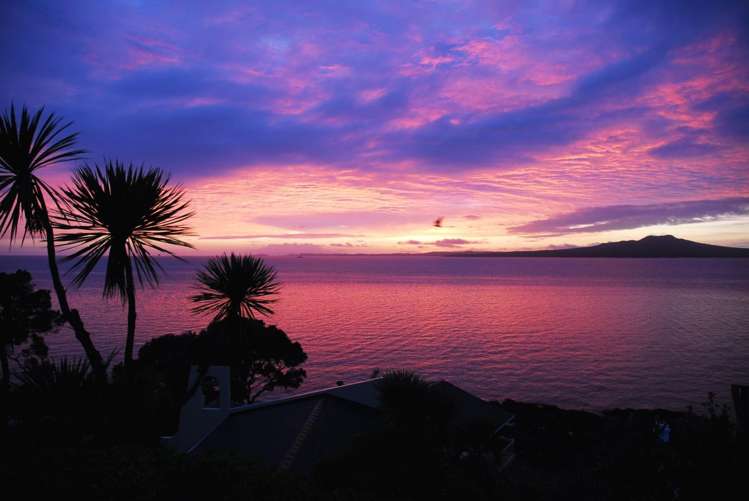 3/241 Hurstmere Road Takapuna_13