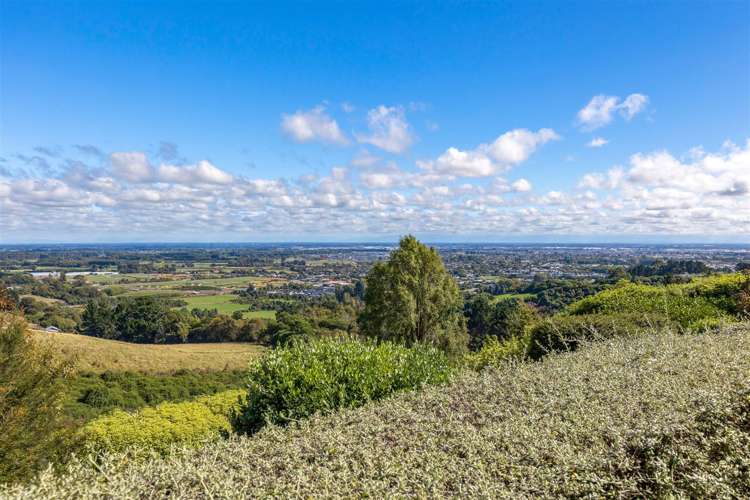 11 The Rocks Kennedys Bush_3