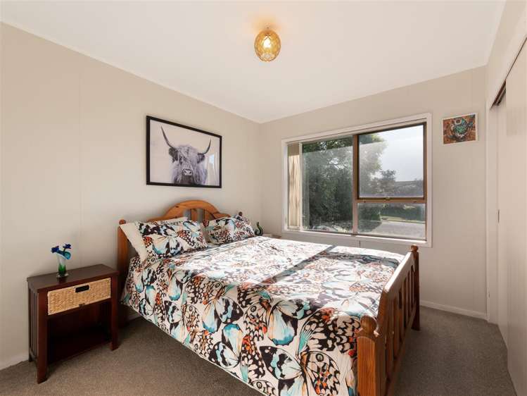 8 Tynan Street Te Puke_6