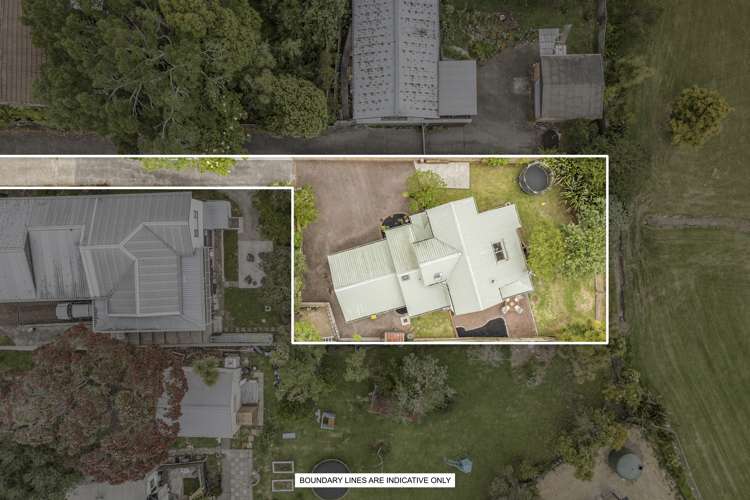 29a Forest Hill Road Henderson_22